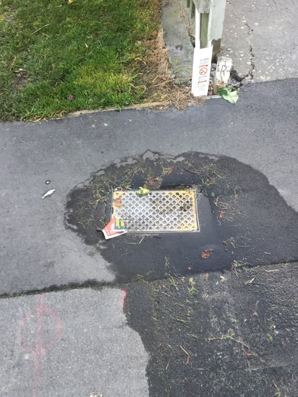 The photograph attached to this water supply report