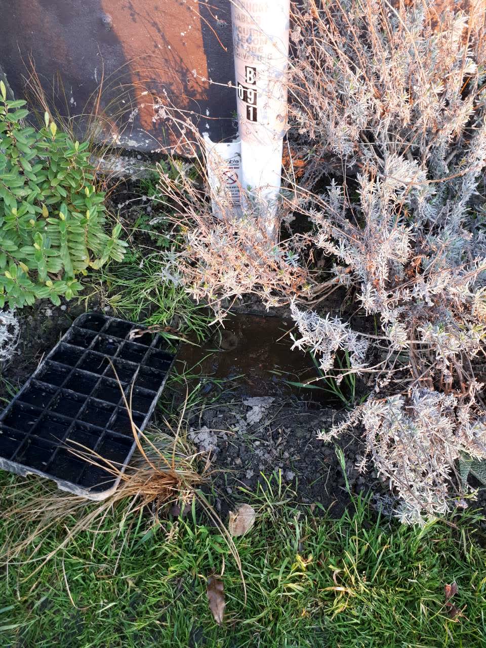 The photograph attached to this water supply report
