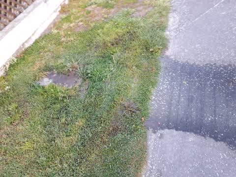 Water Supply, a report photo