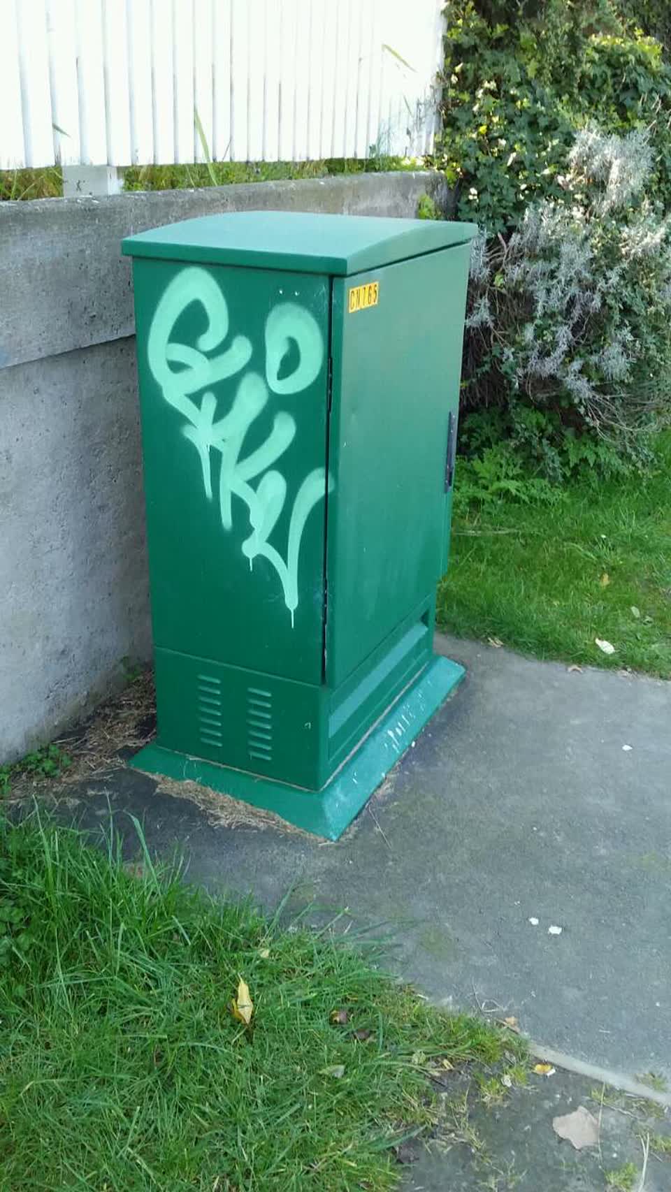 The photograph attached to this graffiti report