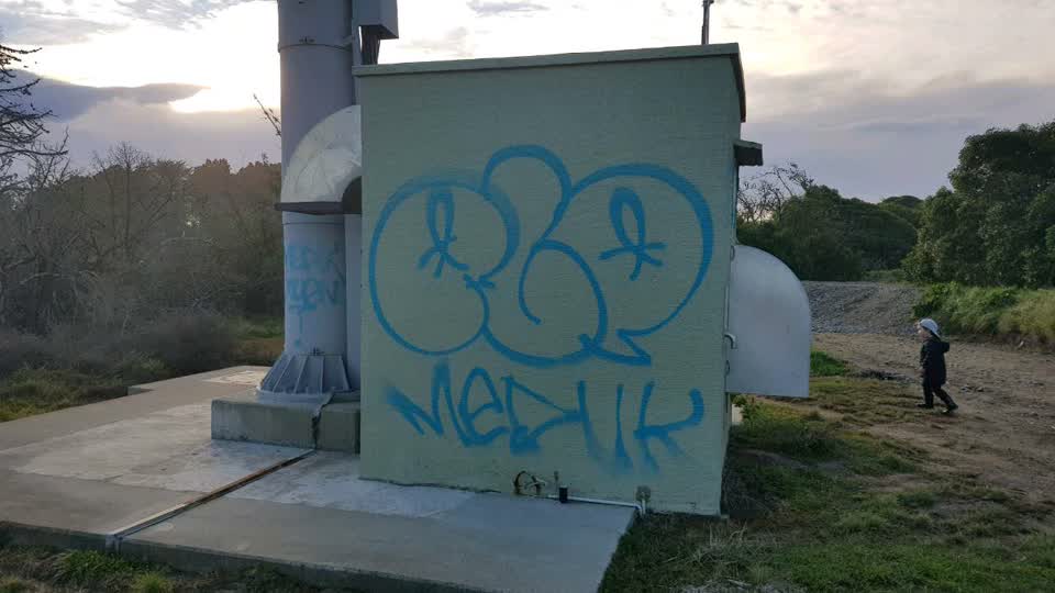 The photograph attached to this graffiti report
