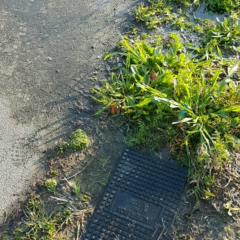 Water Supply, a report photo