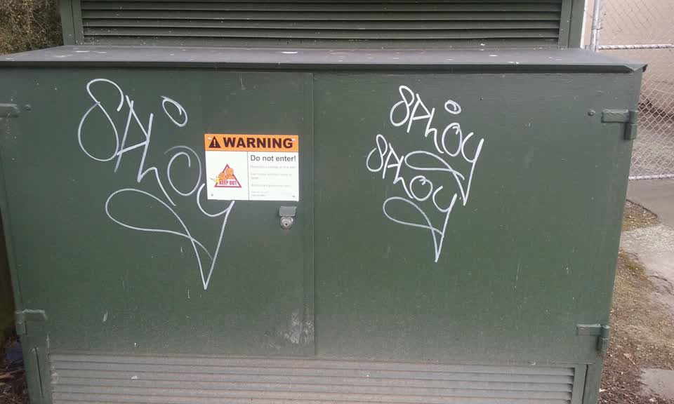 The photograph attached to this graffiti report