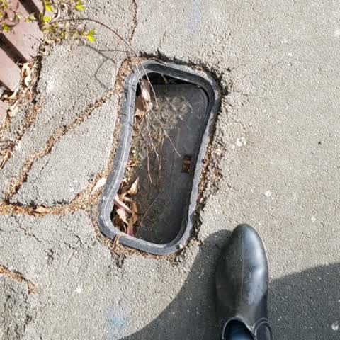 Roading/Streets, a report photo