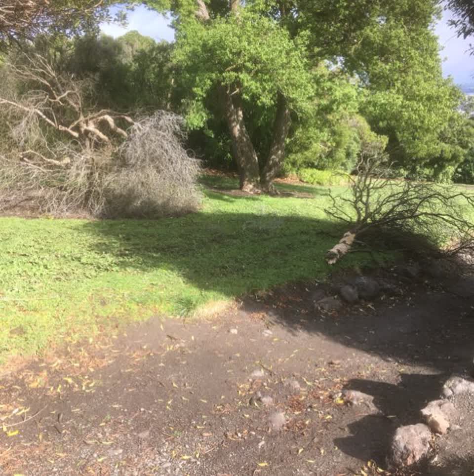 The photograph attached to this parks report