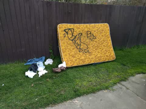 Rubbish/Recycling, a report photo