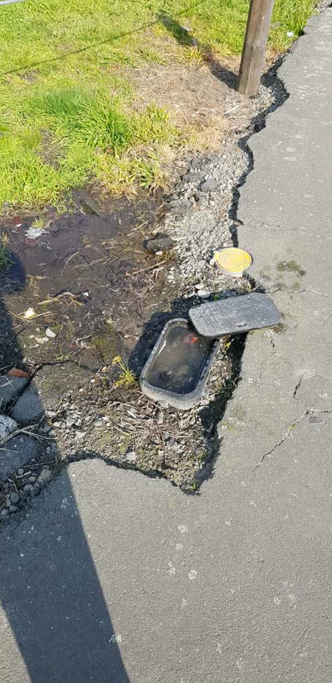 Water Supply, a report photo