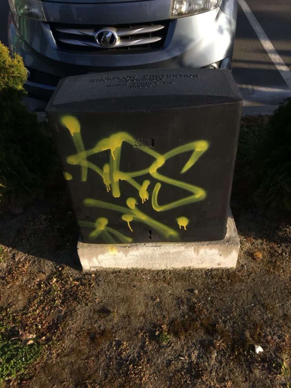 The photograph attached to this graffiti report
