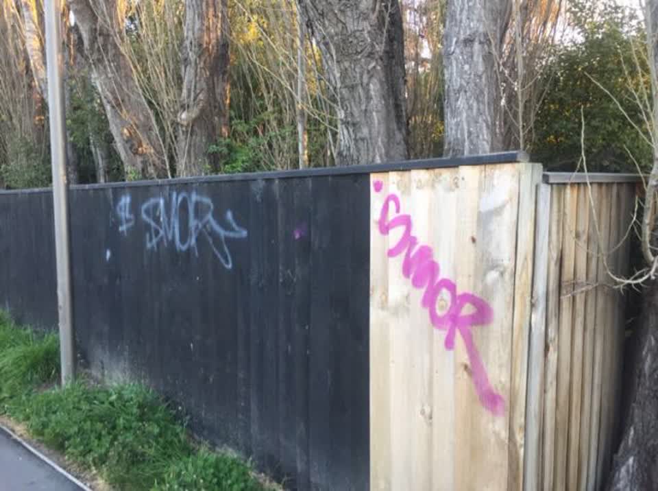 The photograph attached to this graffiti report