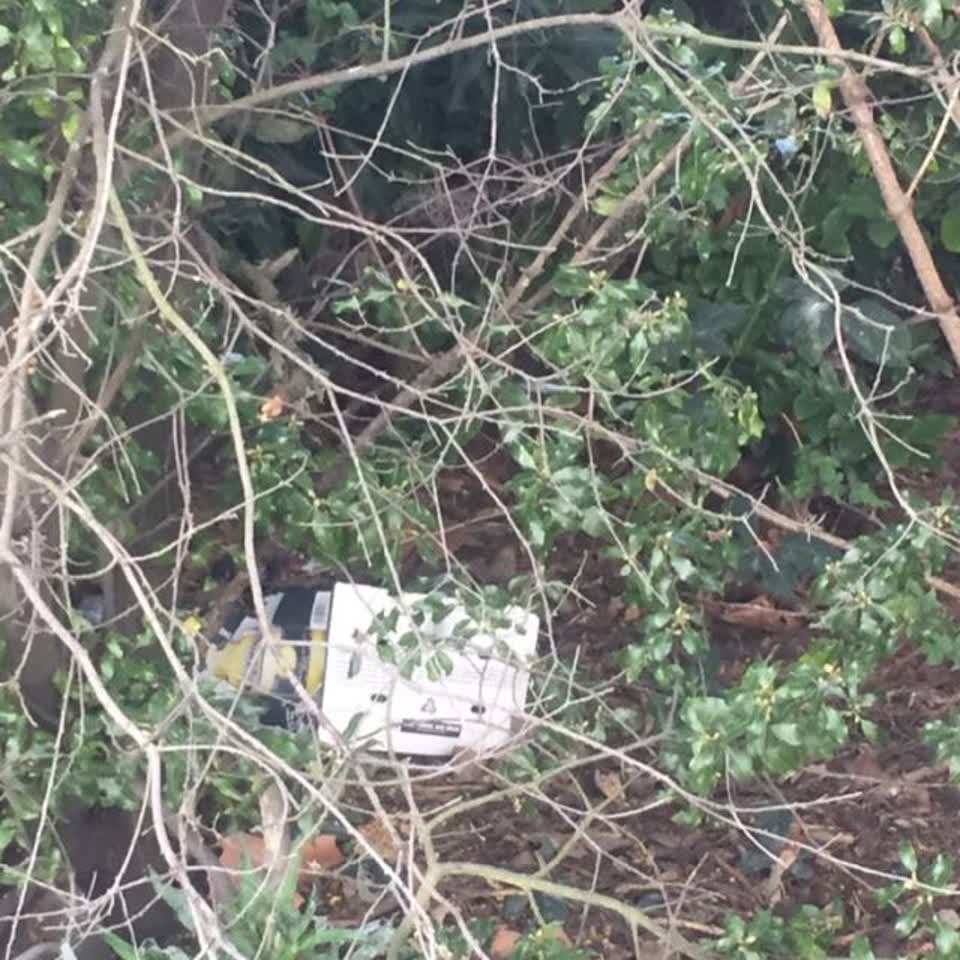 The photograph attached to this rubbish/recycling report