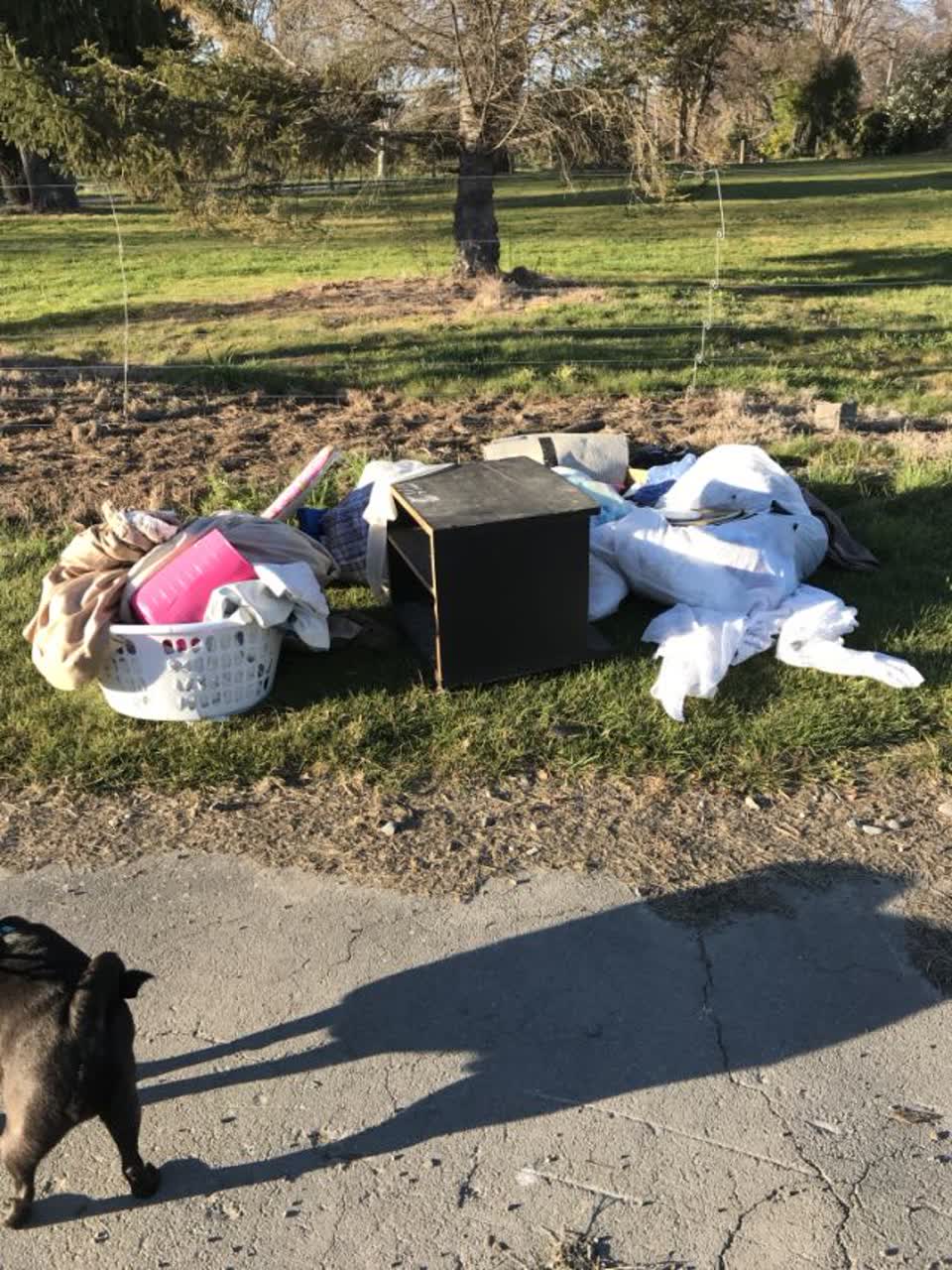The photograph attached to this rubbish/recycling report
