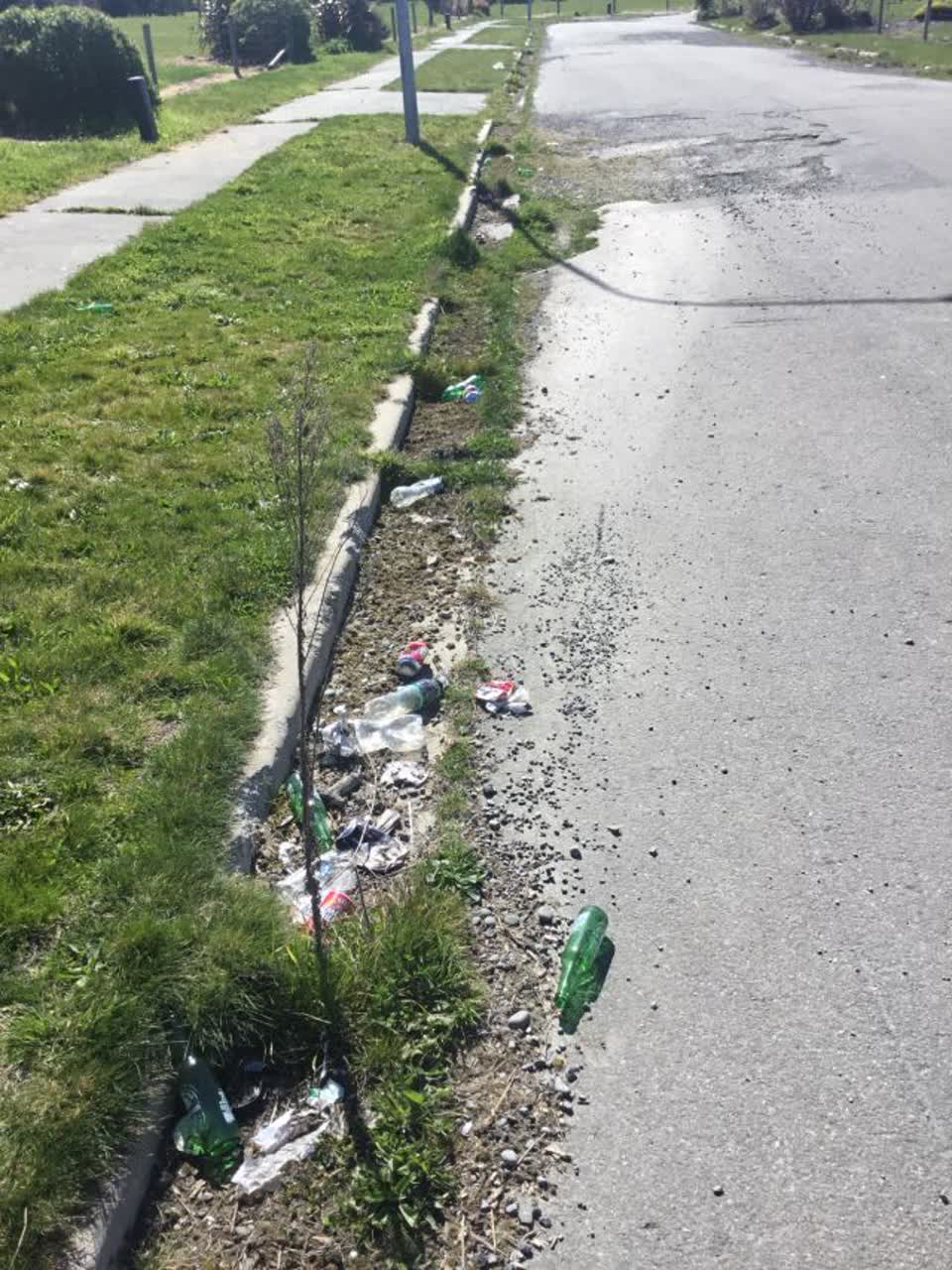 The photograph attached to this rubbish/recycling report