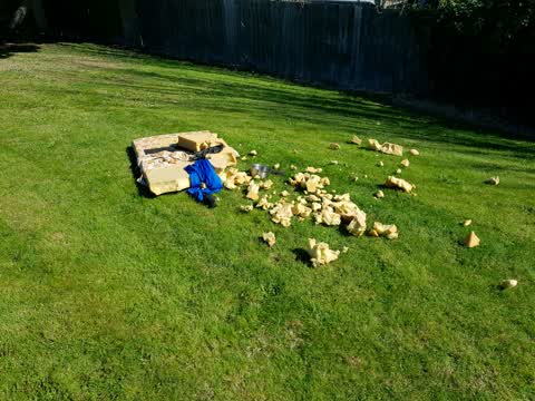 Rubbish/Recycling, a report photo