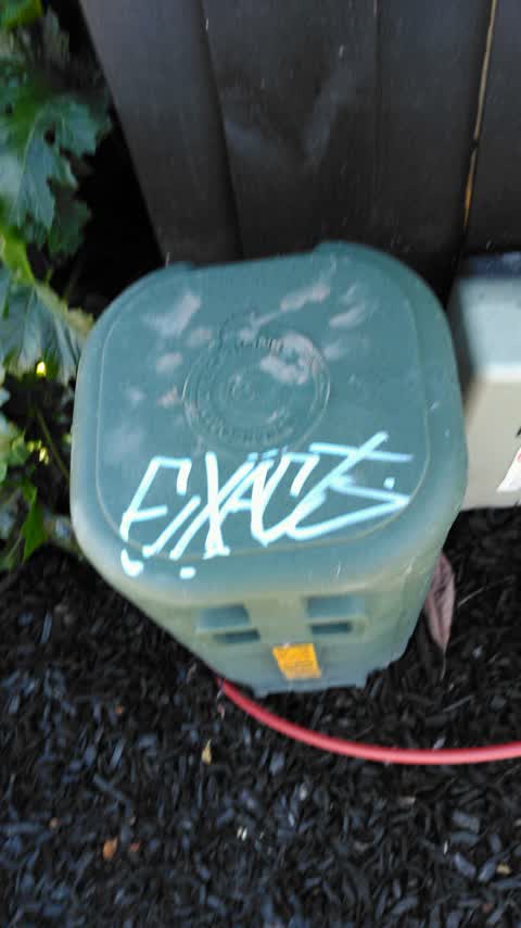 Graffiti, a report photo