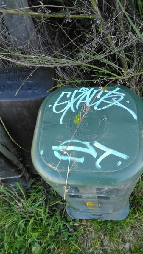 Graffiti, a report photo
