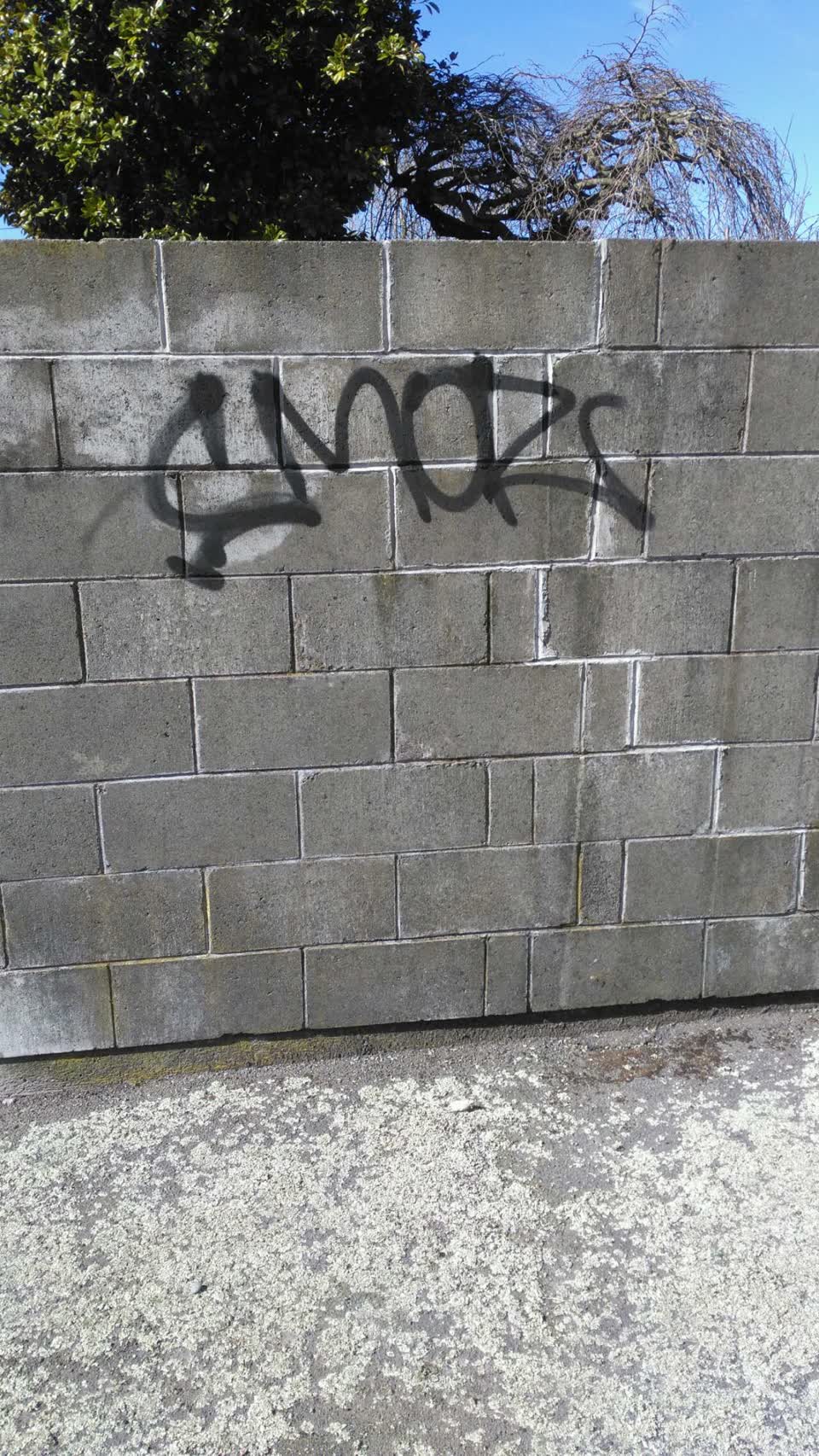 The photograph attached to this graffiti report