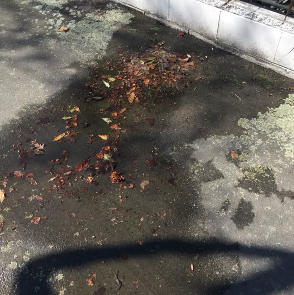 The photograph attached to this water supply report