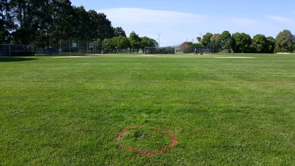 The photograph attached to this parks report