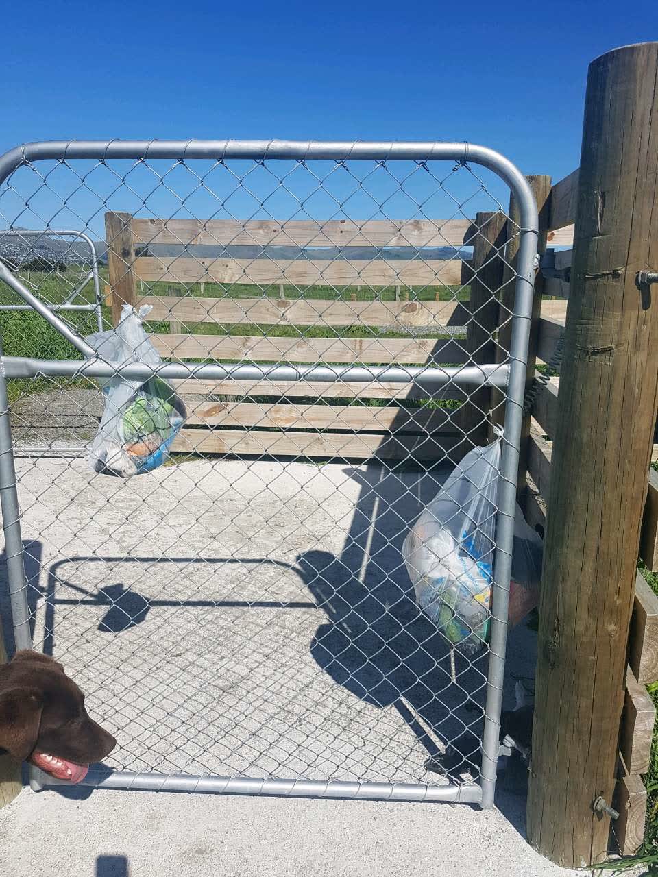 The photograph attached to this parks report