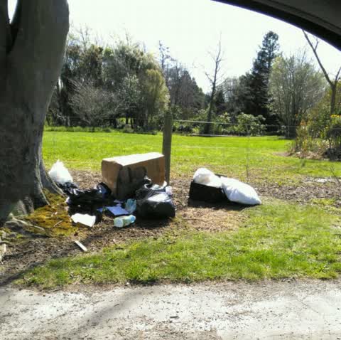 Rubbish/Recycling, a report photo