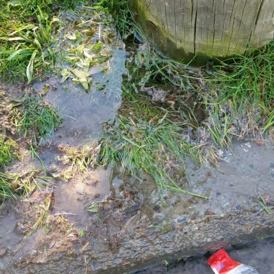 The photograph attached to this water supply report