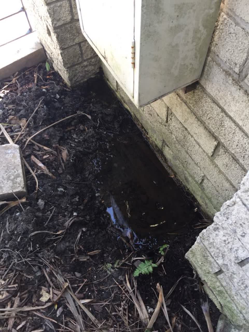 The photograph attached to this water supply report