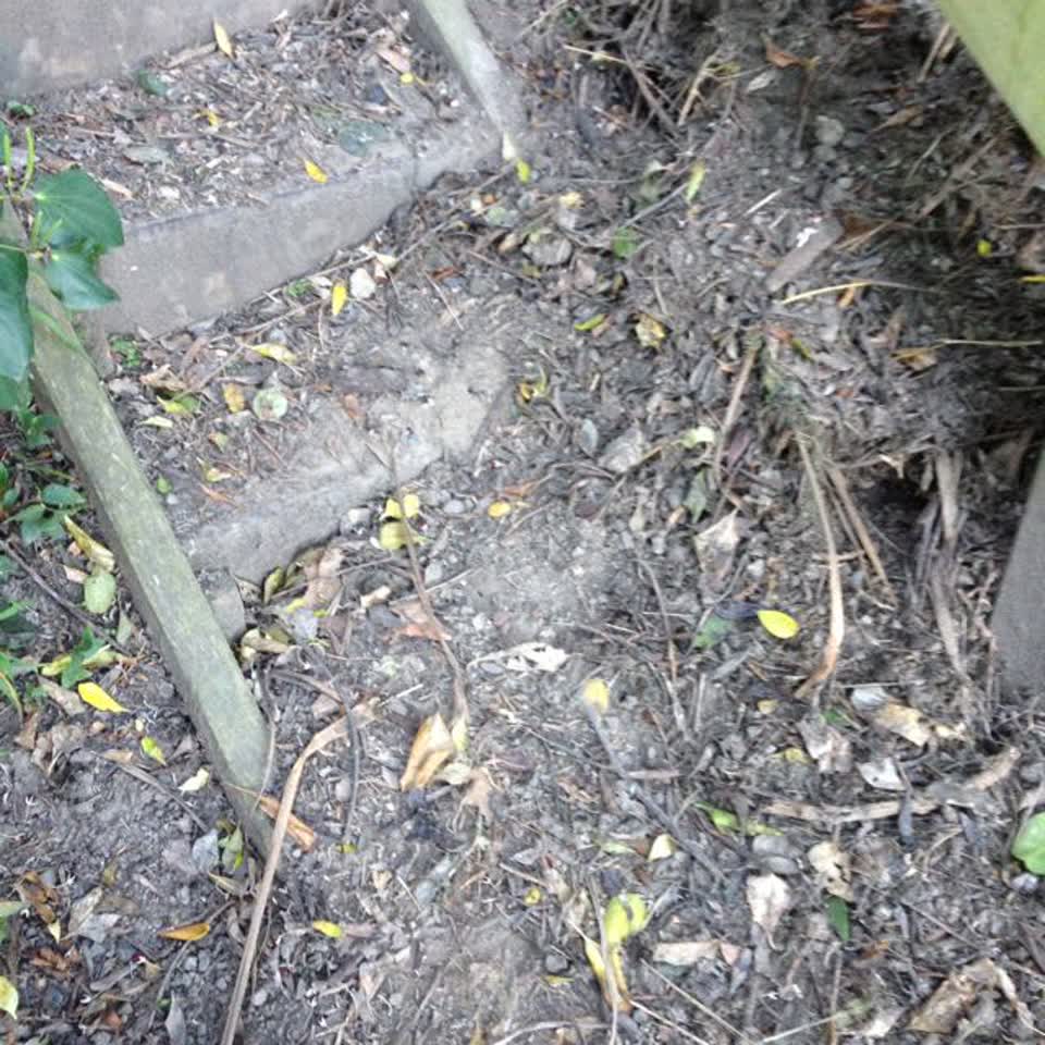The photograph attached to this parks report