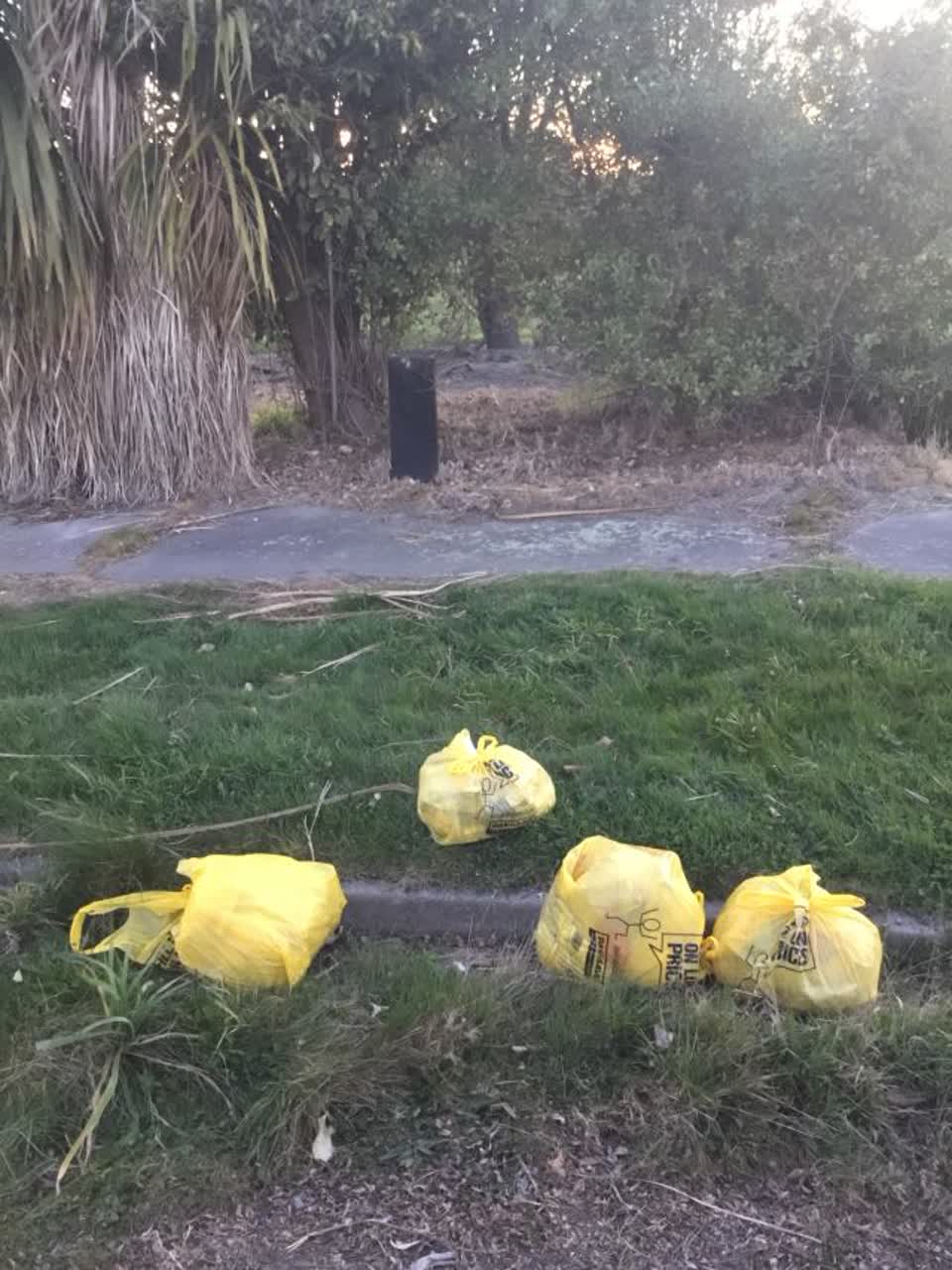 The photograph attached to this rubbish/recycling report