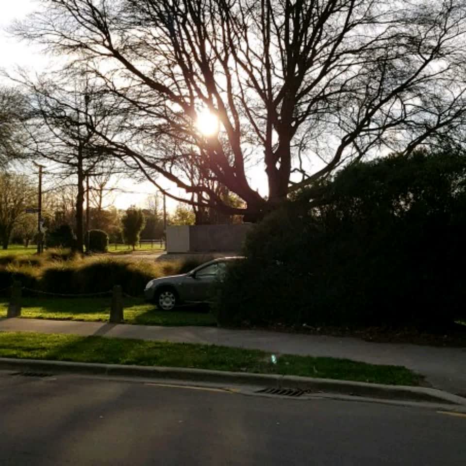 The photograph attached to this parks report