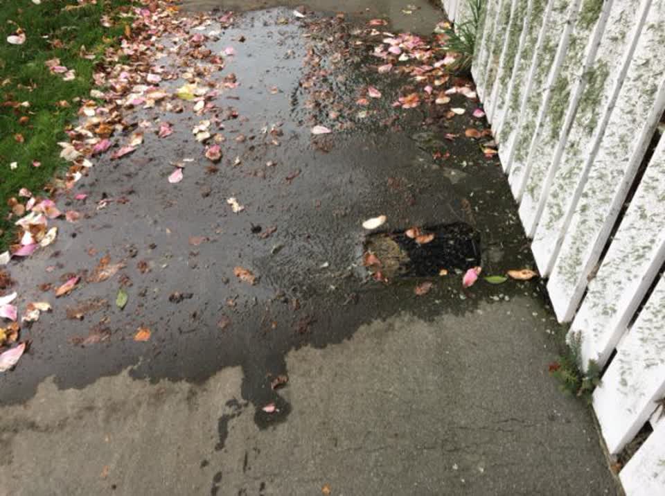 The photograph attached to this water supply report