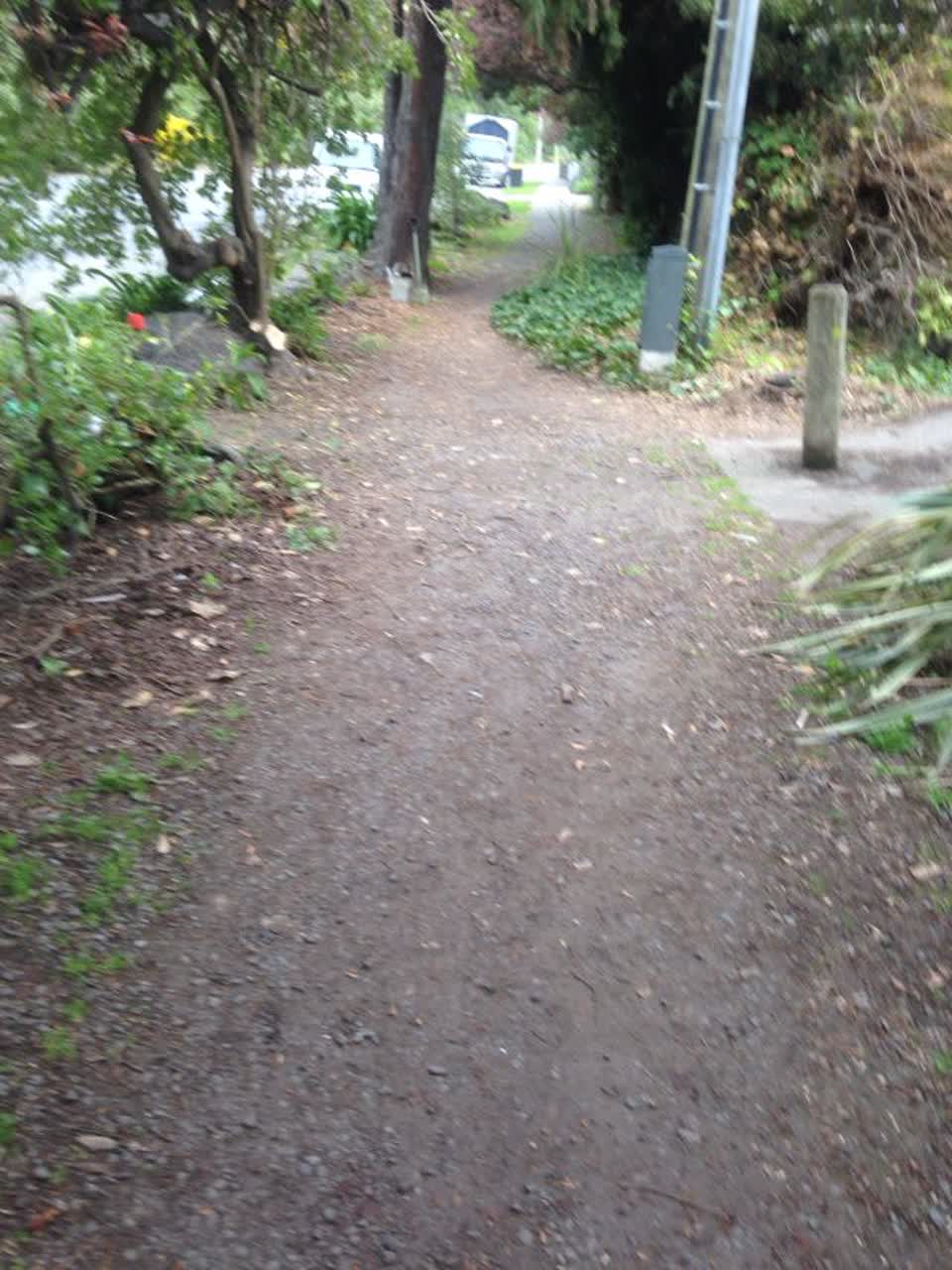 The photograph attached to this parks report