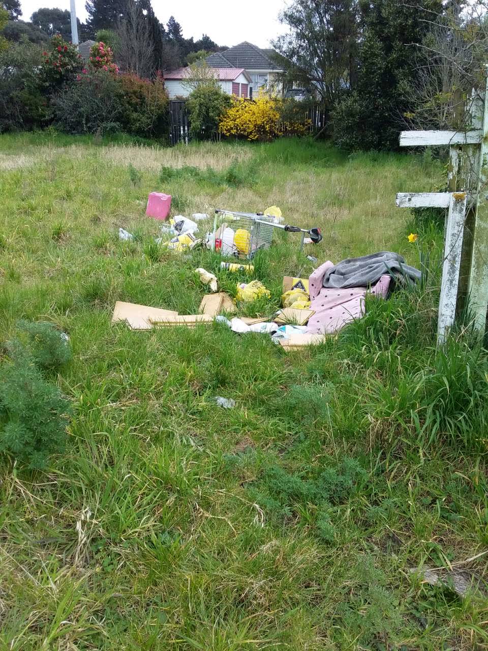 The photograph attached to this rubbish/recycling report