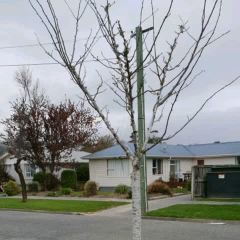 Parks, a report photo