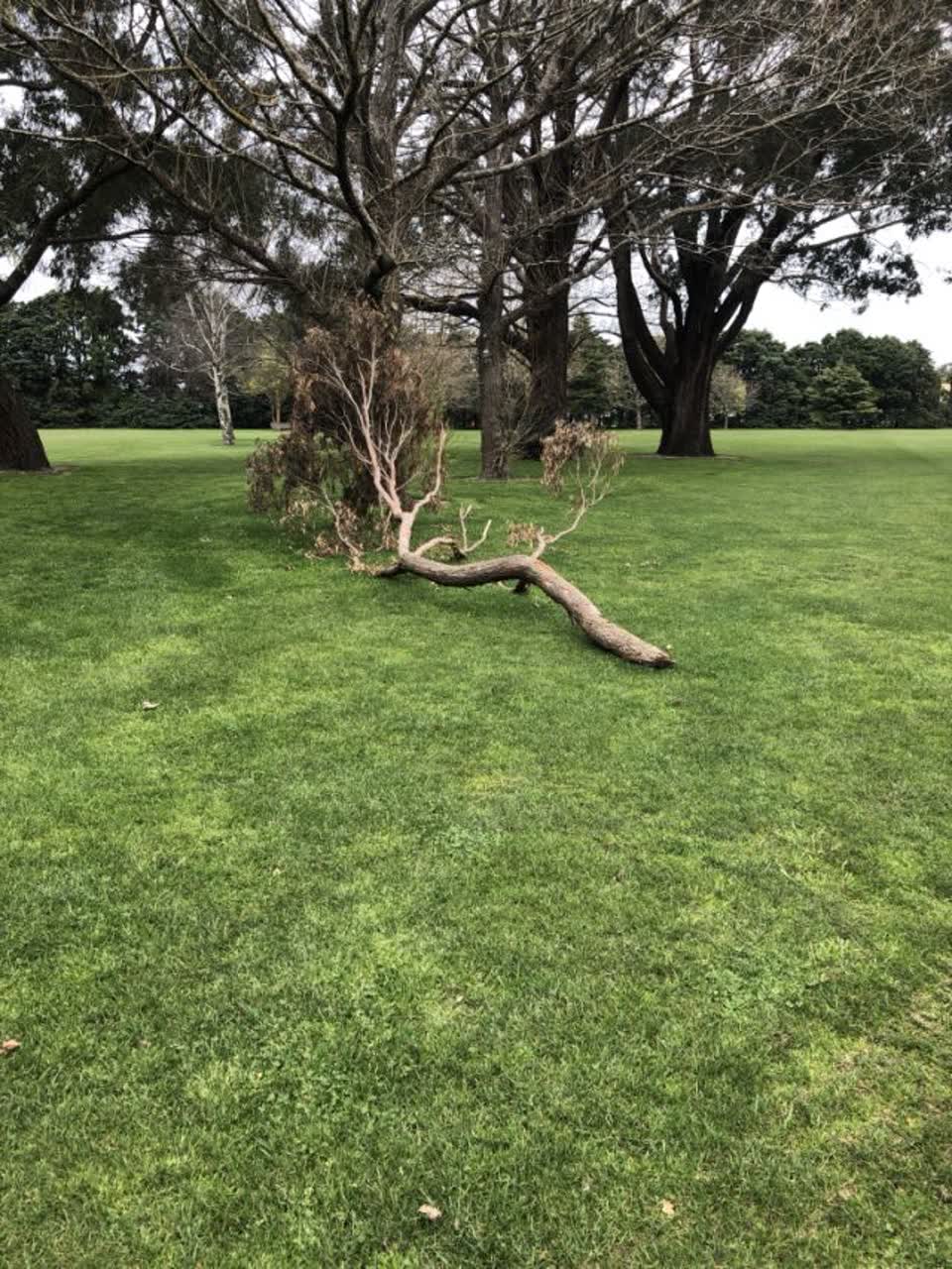 The photograph attached to this parks report