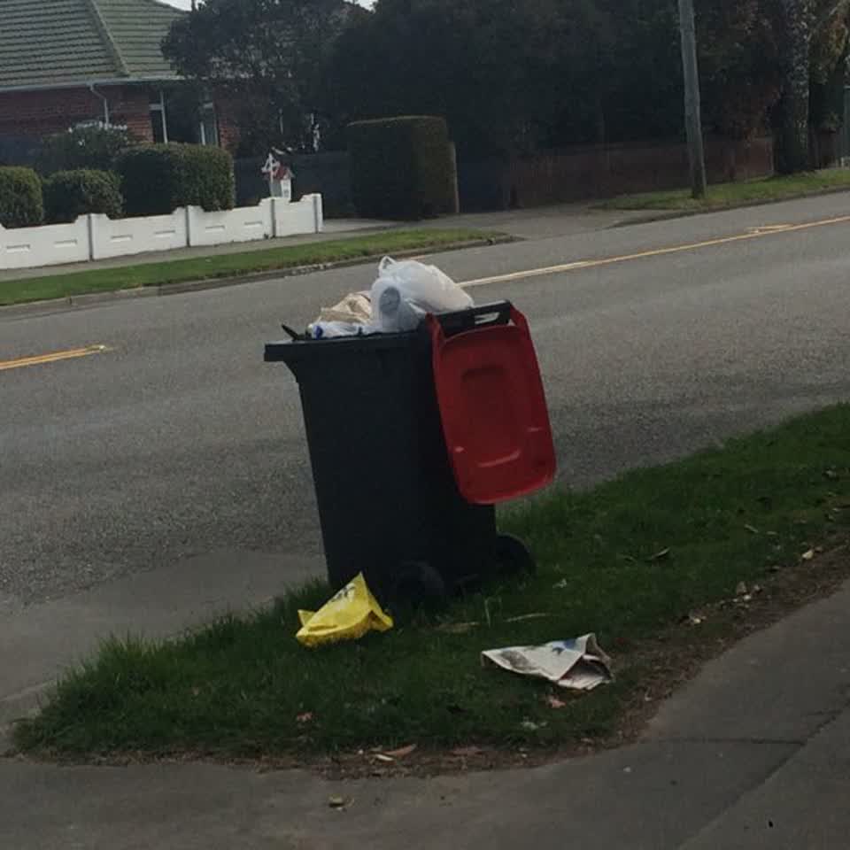 The photograph attached to this rubbish/recycling report