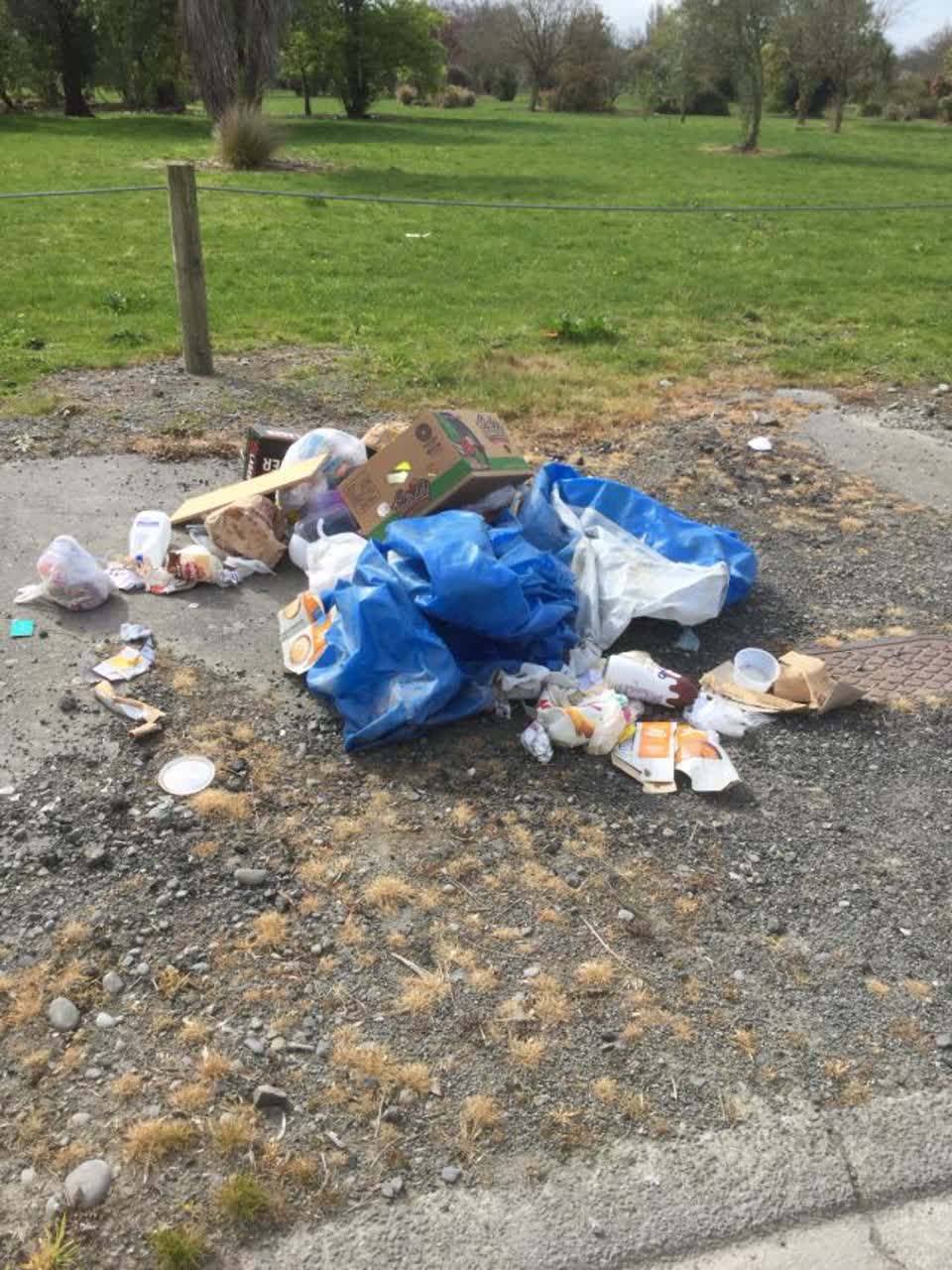 The photograph attached to this rubbish/recycling report