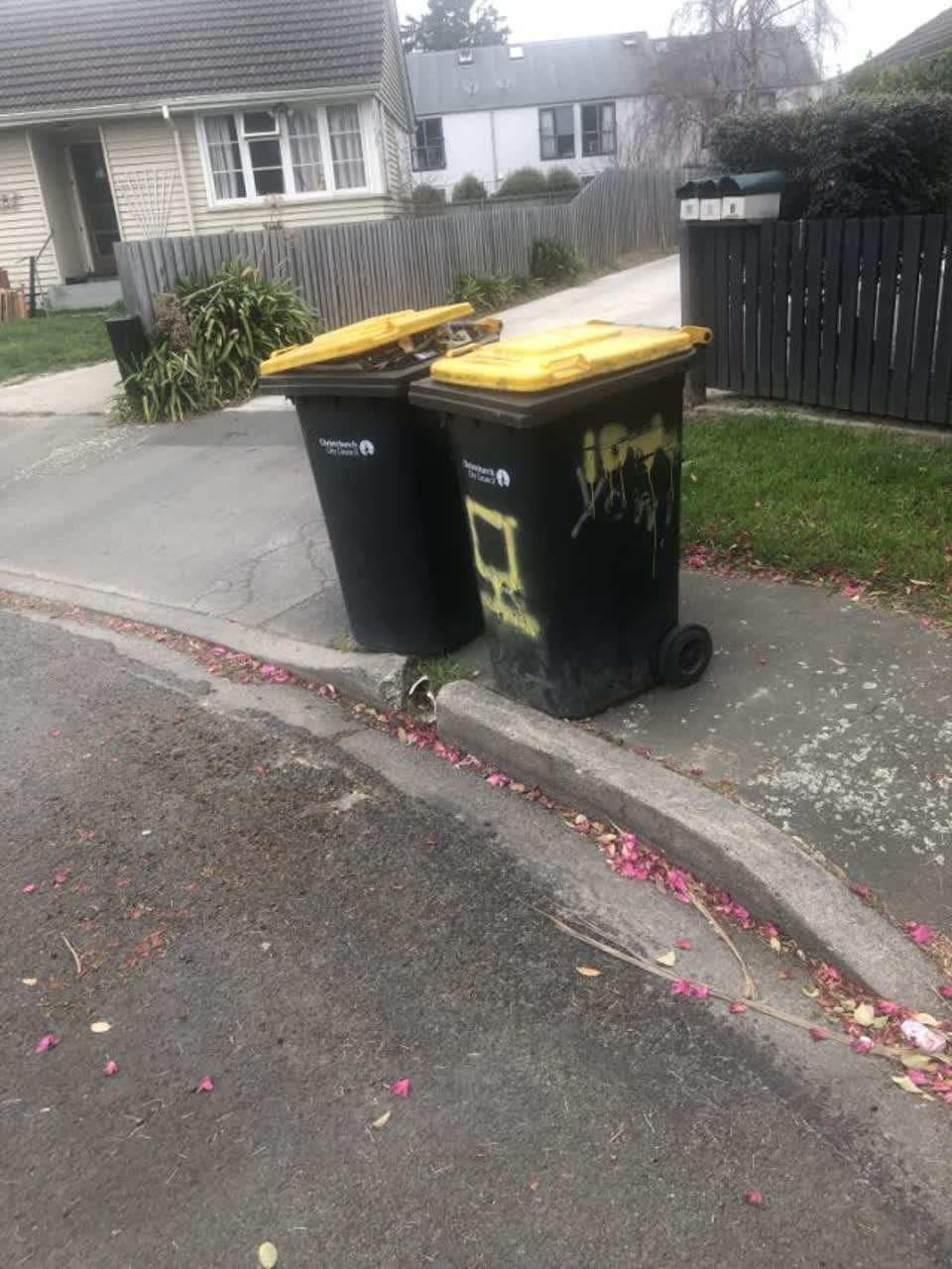 The photograph attached to this rubbish/recycling report