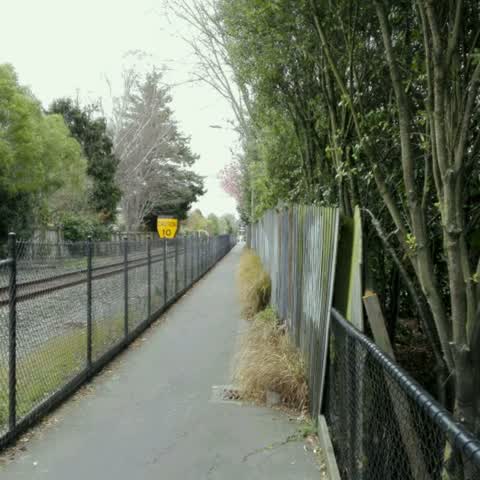 Roading/Streets, a report photo