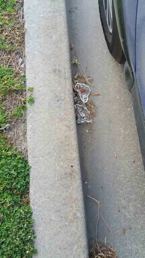 Roading/Streets, a report photo