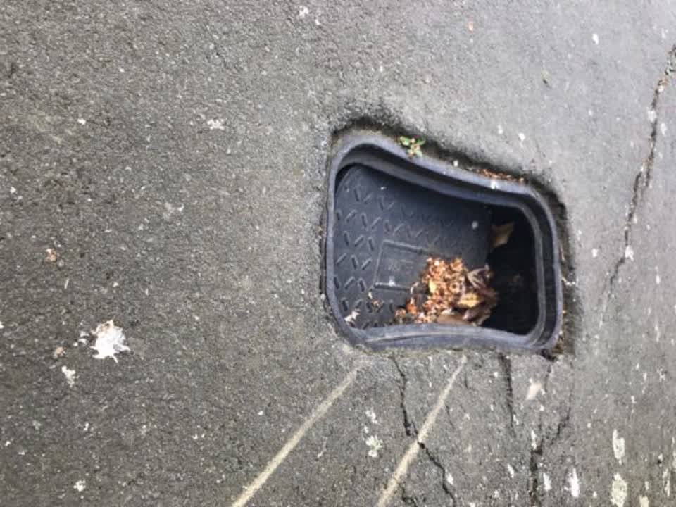 The photograph attached to this roading/streets report