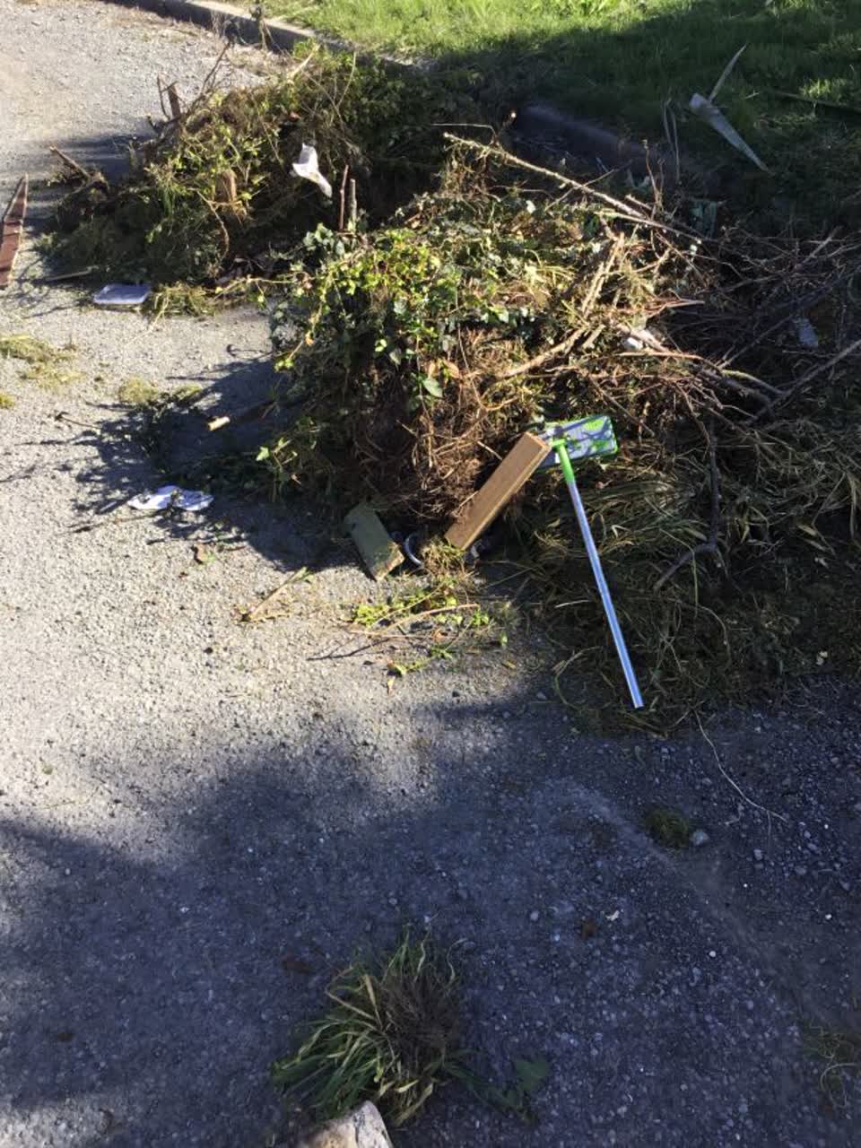The photograph attached to this rubbish/recycling report