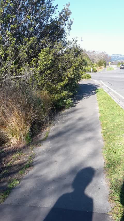Parks, a report photo
