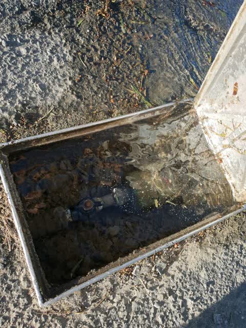 Water Supply, a report photo