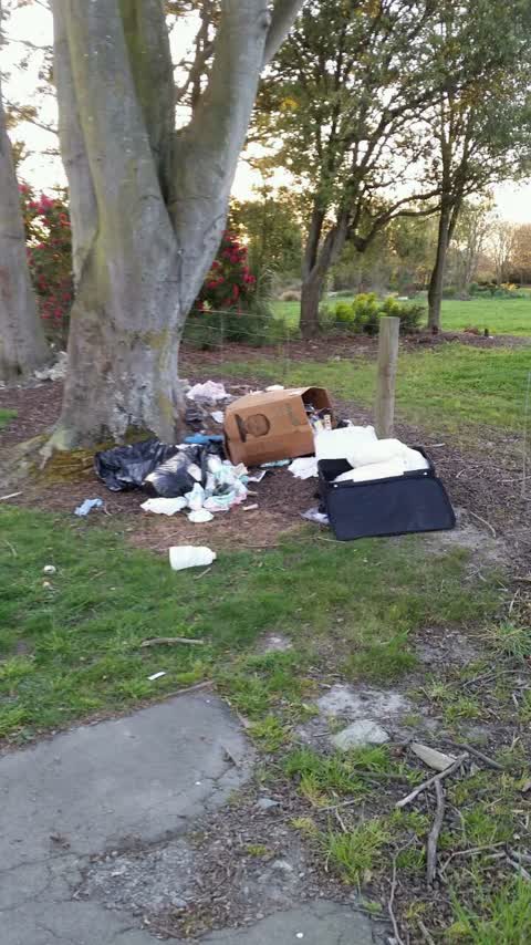 Rubbish/Recycling, a report photo
