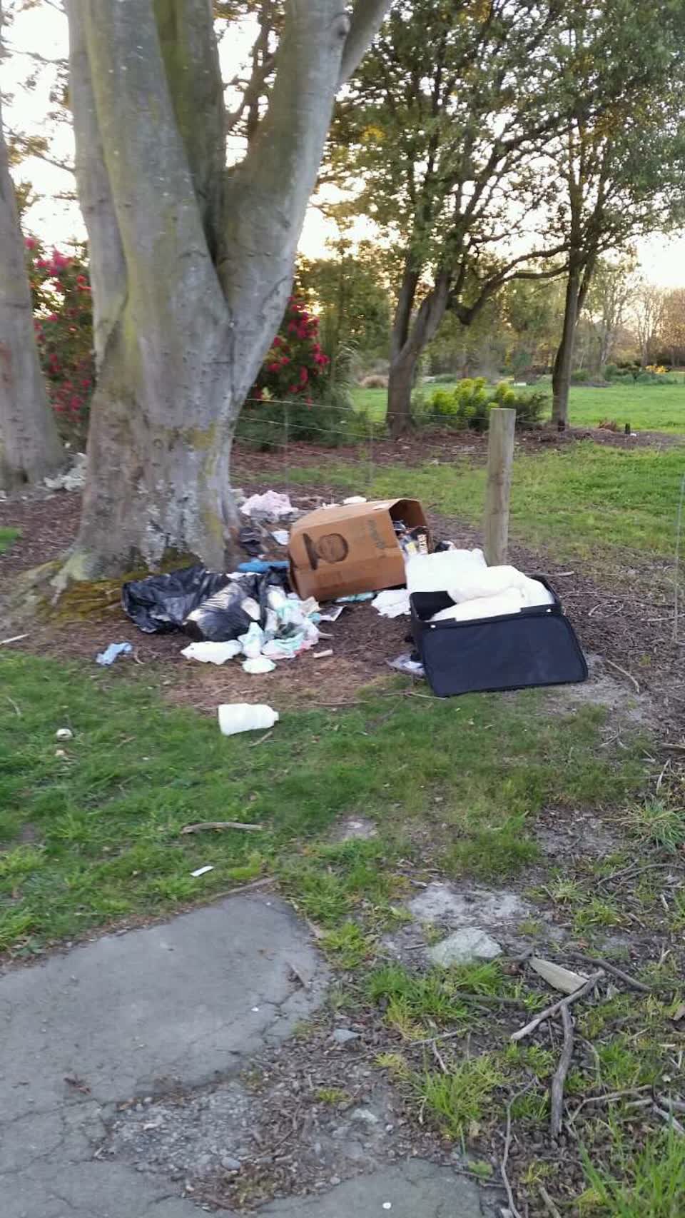 The photograph attached to this rubbish/recycling report
