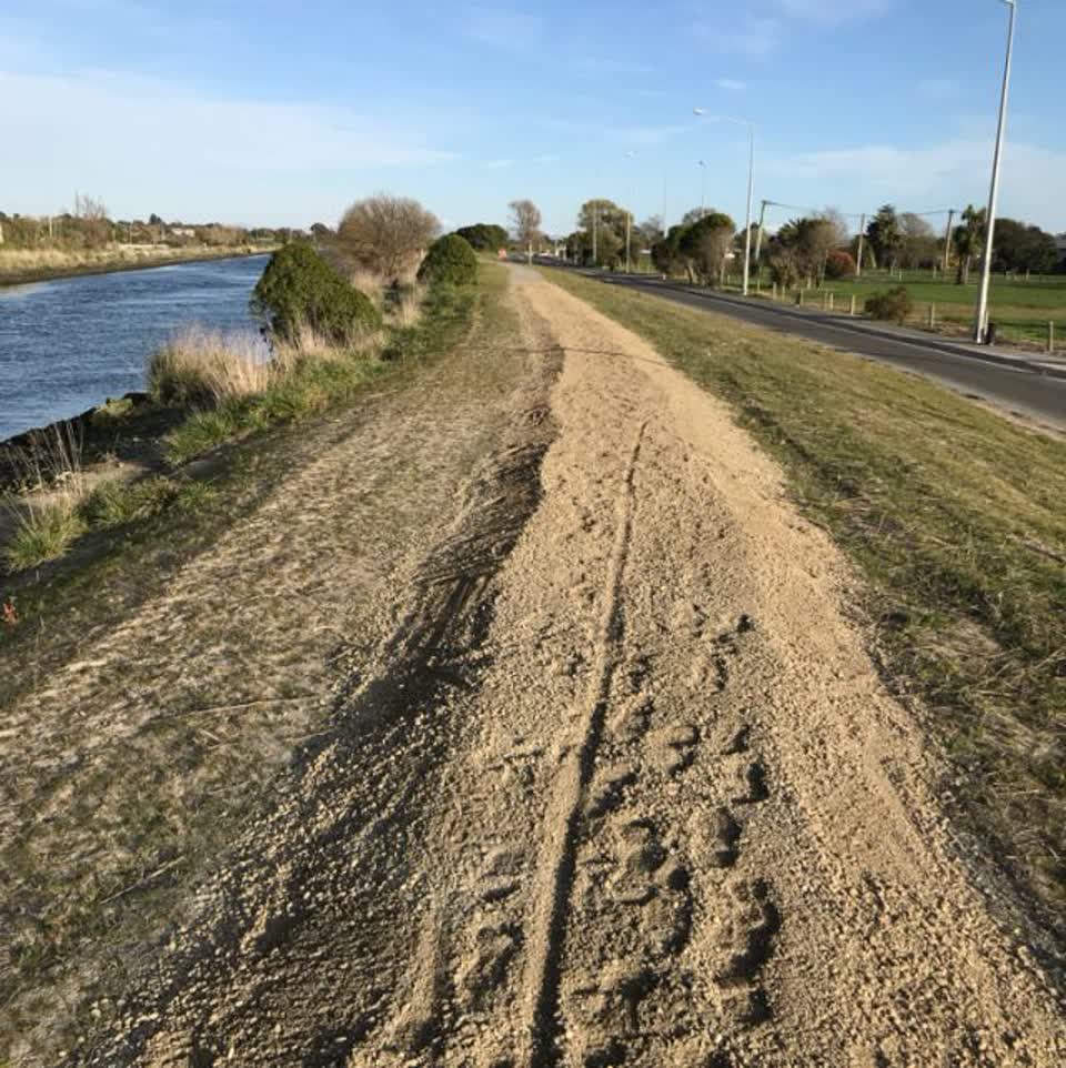 The photograph attached to this parks report