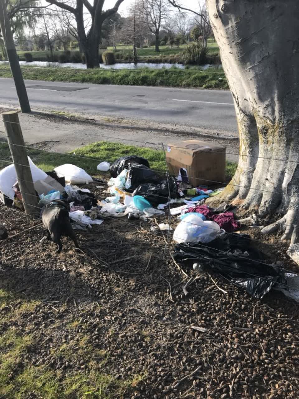 The photograph attached to this rubbish/recycling report