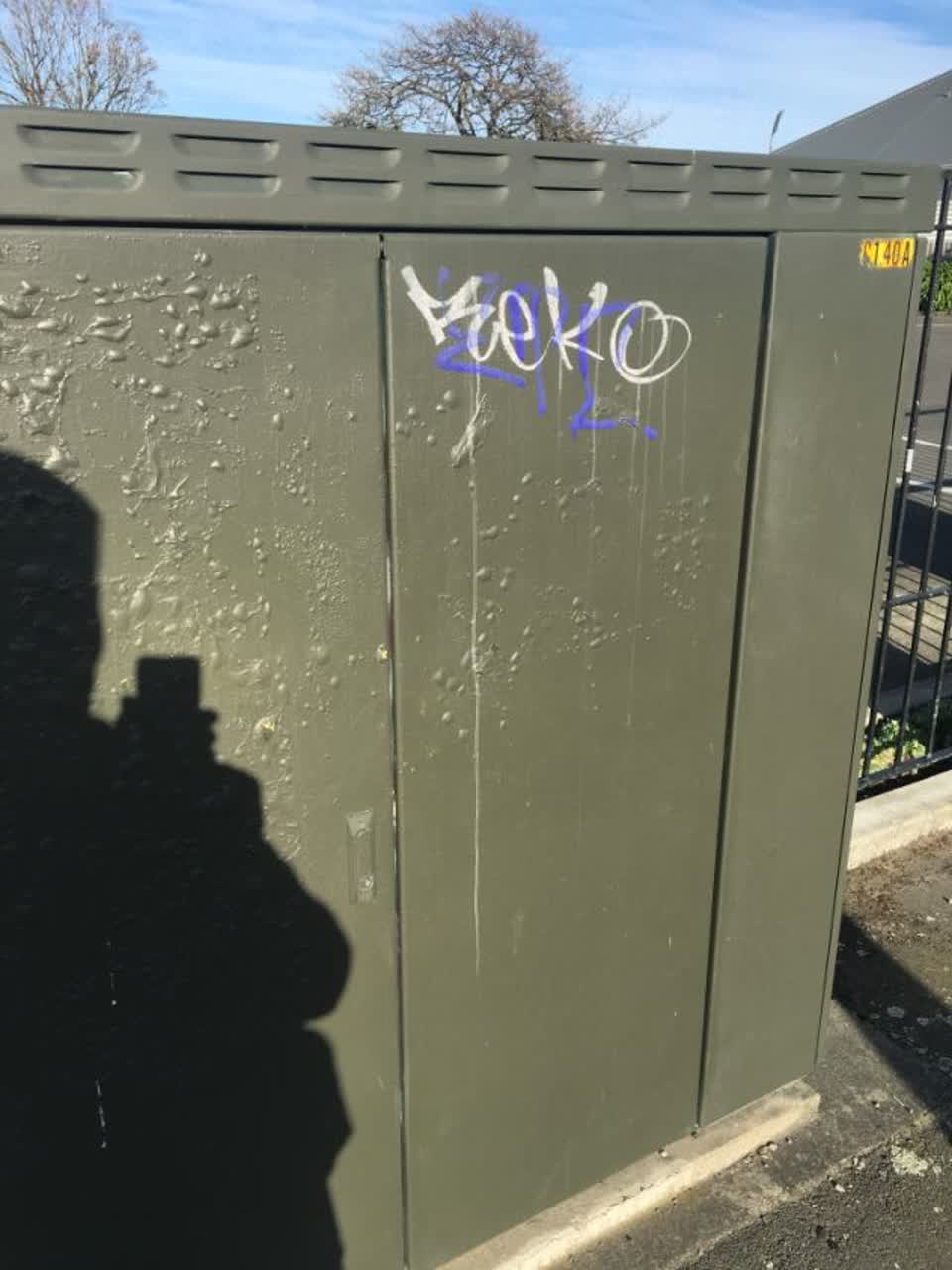 The photograph attached to this graffiti report