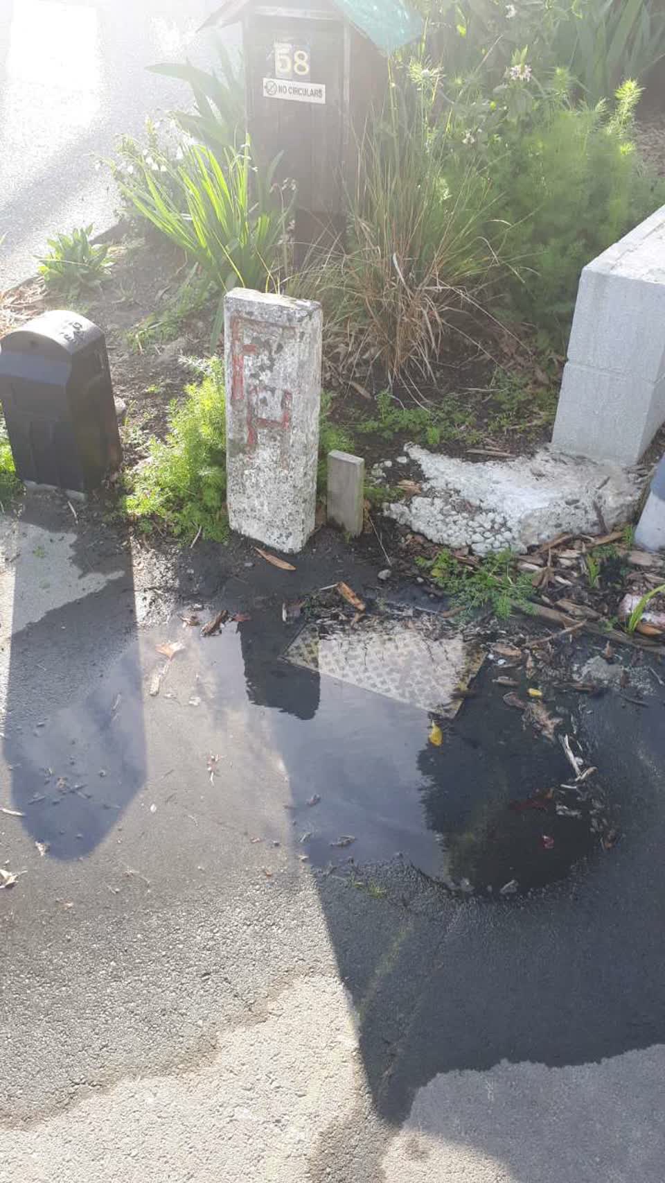 The photograph attached to this water supply report