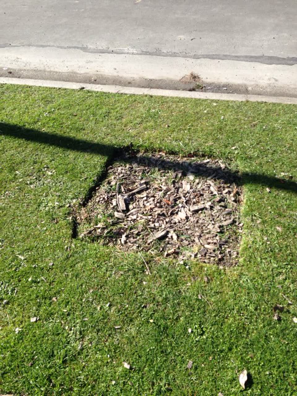 The photograph attached to this roading/streets report